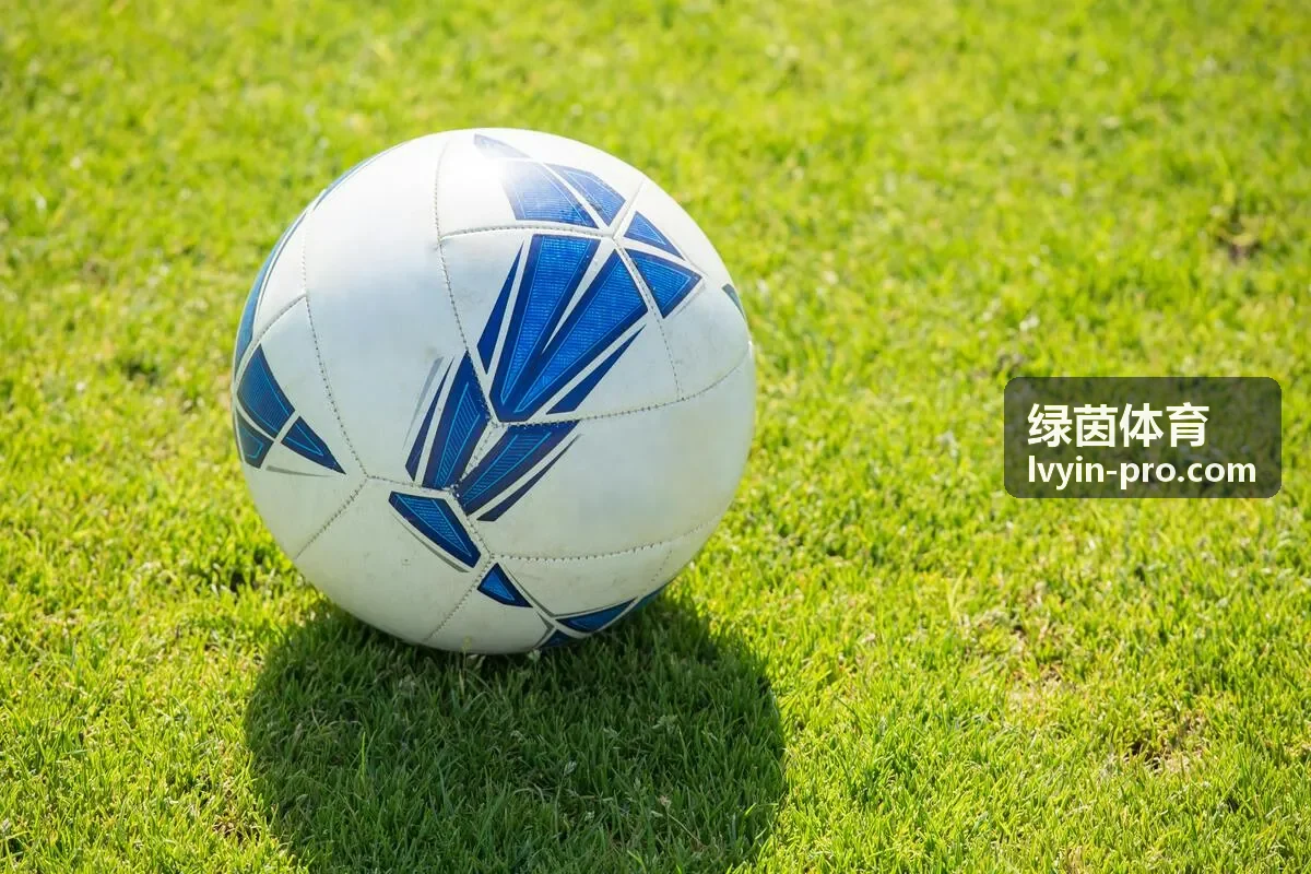 绿茵体育马术场地